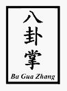 Chinese characters for the words ba gua zhang