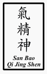 Chinese characters for the words san bao qi jing shen