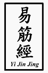 Chinese characters for the words yi jin jing