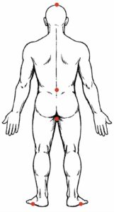 Back‑view line drawing of a standing figure with red dots marking key points along the head, spine, pelvis, and heels.