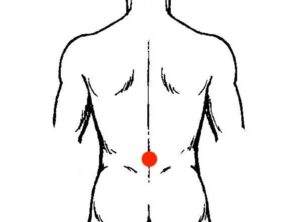 Back‑view line drawing showing Mingmen as shown by a red‑dot acupoint on the lower spine.
