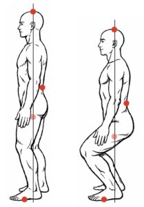 Side‑view line drawings showing standing and squatting postures with a vertical alignment line and red reference points. Points cannot align vertically.
