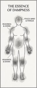 A diagram of a human figure with shaded areas showing Dampness symptoms, including foggy mind, fatigue, heaviness, and edema in the limbs.
